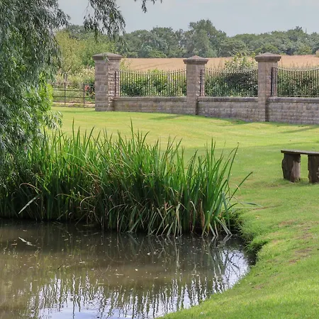 Ramson * 滨海索尔特本