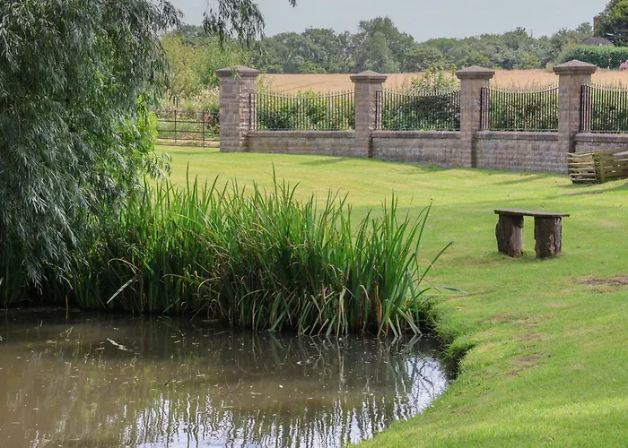 Ramson * Saltburn-by-the-Sea